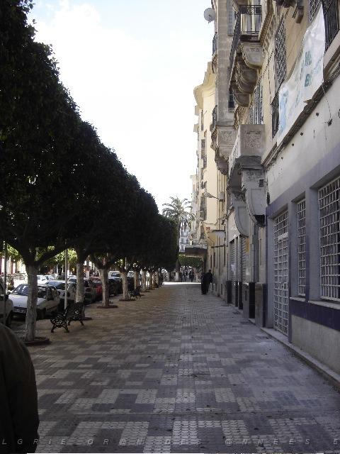 ORAN SEPTEMBRE 2006 AVENUE LOUBET 01.jpg
